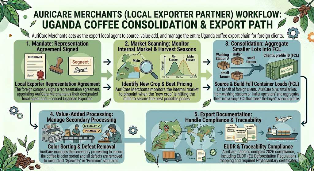 uganda coffee local exporteragent 3